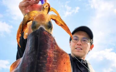 「早くも春の良型イカが好反応！」陸っぱりエギングで900gアオリイ登場…