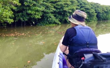 石垣島「マングローブ・カヤックフィッシング」完全ガイド　とびきりの非日…