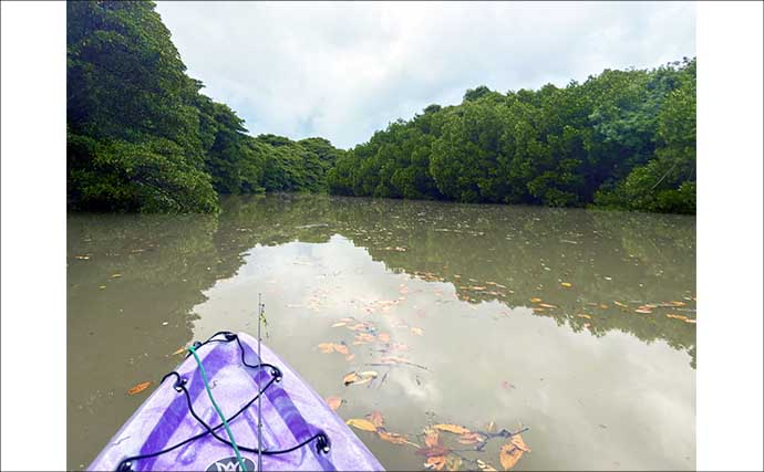 石垣島「マングローブ・カヤックフィッシング」完全ガイド　とびきりの非日常感！