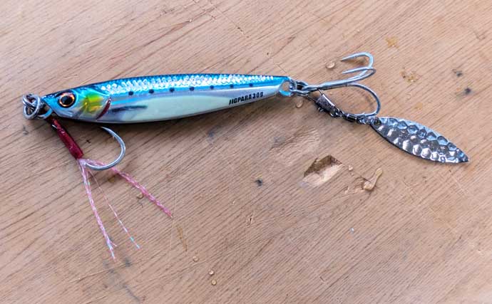 「炙りが大好評！」ショアジギングでカマス連打【和歌山】ブレードジグに好反応