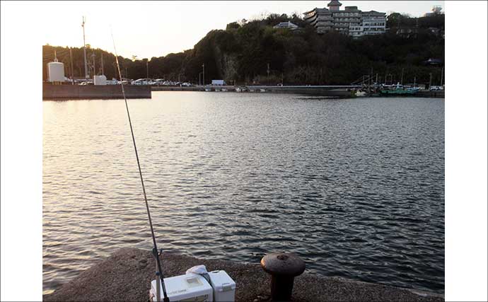 「低水温期でもキスは釣れた！」超早場の投げキス釣りで本命の動きを捉える