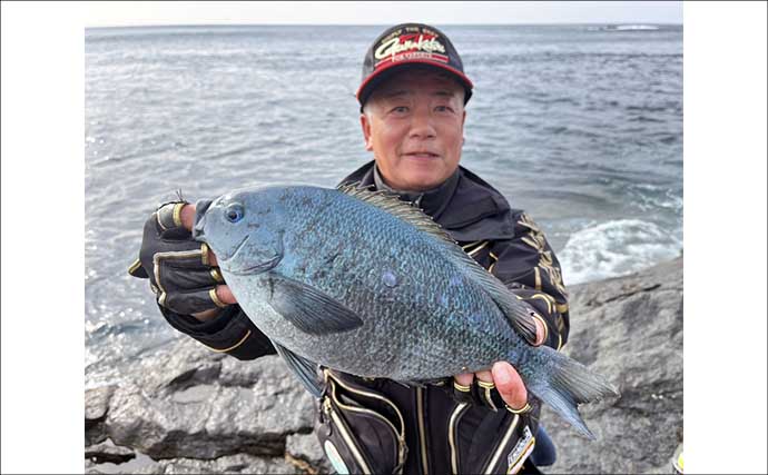 「クロ（メジナ）が入れ食い！」磯フカセ釣りで良型乱舞【大分・蒲江の磯】