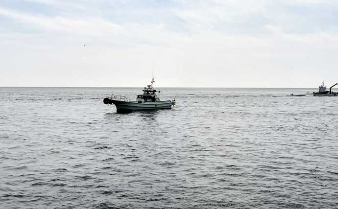 「クロ（メジナ）が入れ食い！」磯フカセ釣りで良型乱舞【大分・蒲江の磯】