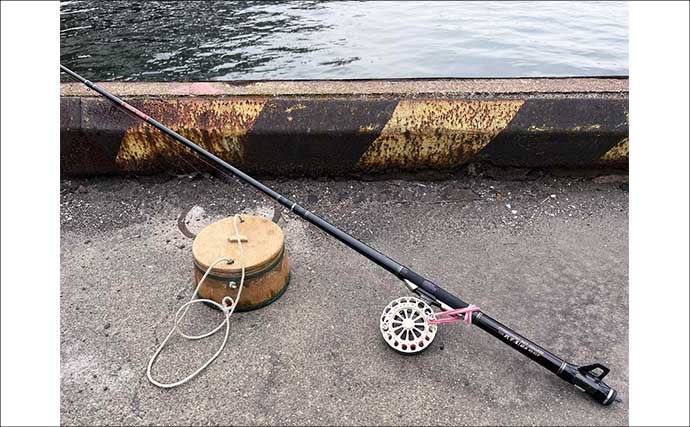 クロダイ乗っ込みシーズン開幕！落とし込み釣りで良型クロダイ2枚【名古屋港】