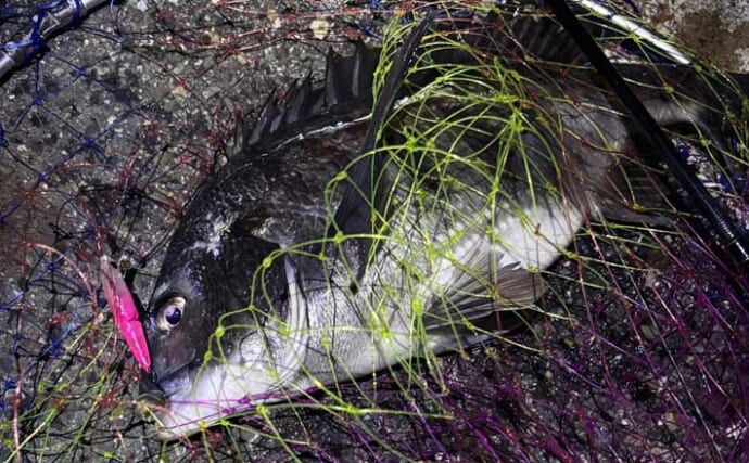 「デイゲームとナイトゲーム何が違う？」チニング攻略ならまずは夜がオススメ