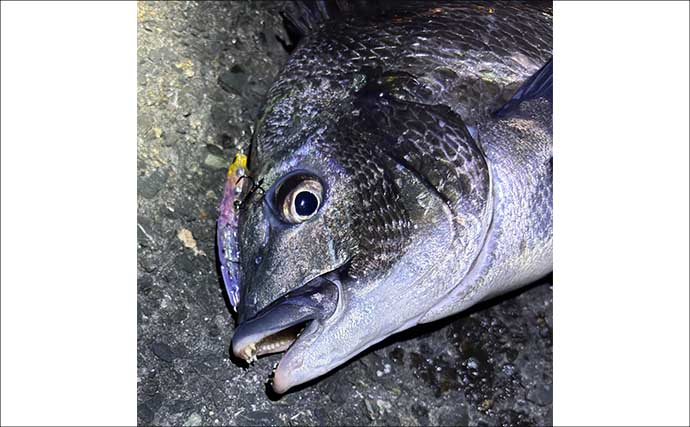 「デイゲームとナイトゲーム何が違う？」チニング攻略ならまずは夜がオススメ