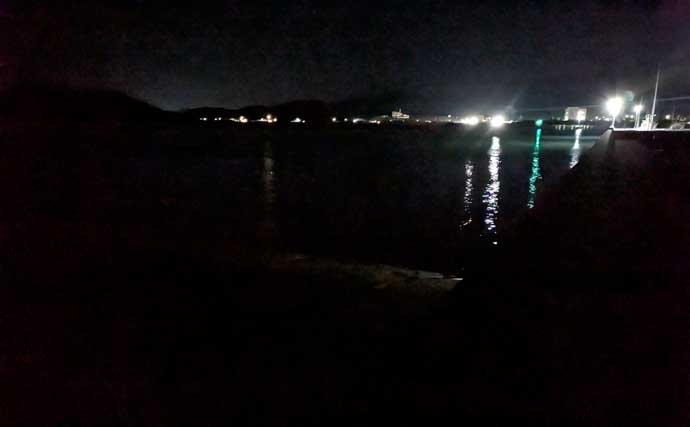 紀南エリアのランガンルアーフィッシングでガシラ祭り【和歌山】今後はアオリに期待