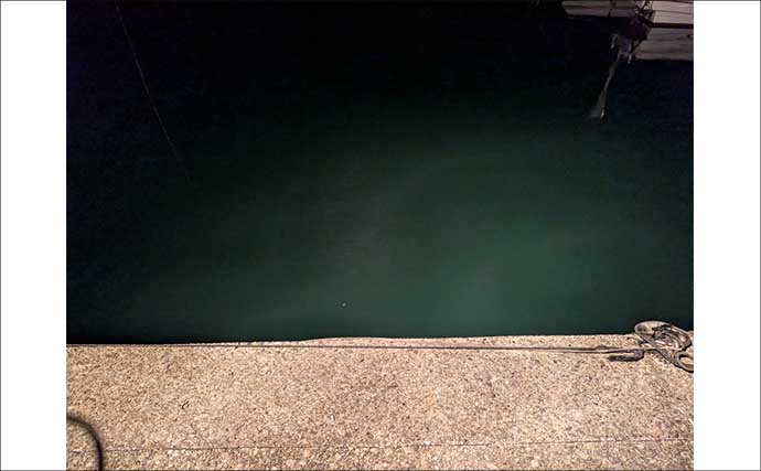 紀南エリアのランガンルアーフィッシングでガシラ祭り【和歌山】今後はアオリに期待