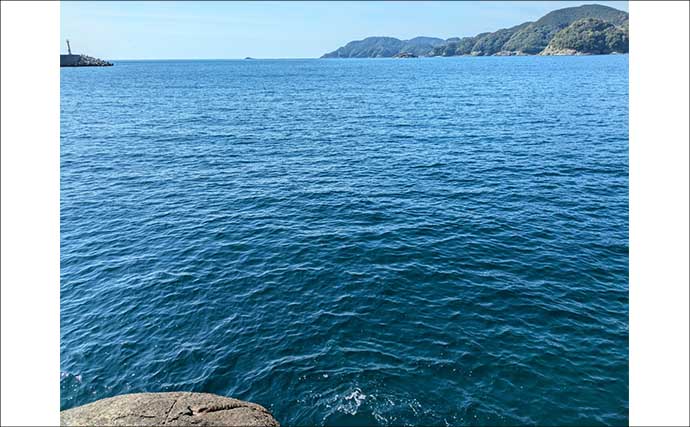 紀南エリアのランガンルアーフィッシングでガシラ祭り【和歌山】今後はアオリに期待