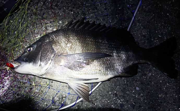 「ソフトルアー vs ハードルアー」 チニングで効果的なのはどっち？