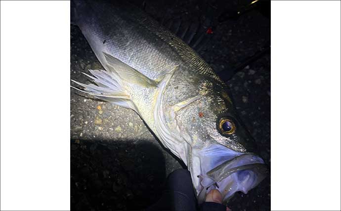 「オフシーズンに期待は禁物だった？」 大阪湾奥ライトゲーム釣行で3連続ボウズ