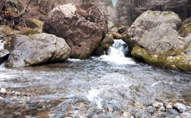 「あなたは粘る？移動する？」 渓流エサ釣りにおけるポイント移動の判断基…