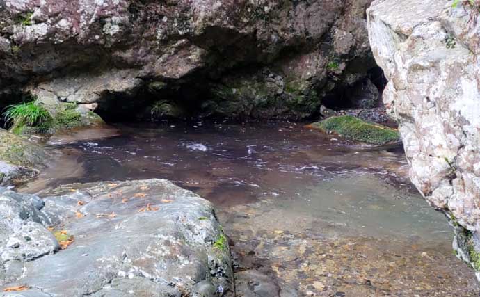 「あなたは粘る？移動する？」 渓流エサ釣りにおけるポイント移動の判断基準