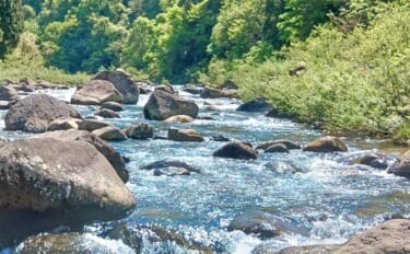 良型ヤマメ・アマゴ狙える渓流釣り場　石徹白川ポイントガイド【福井】