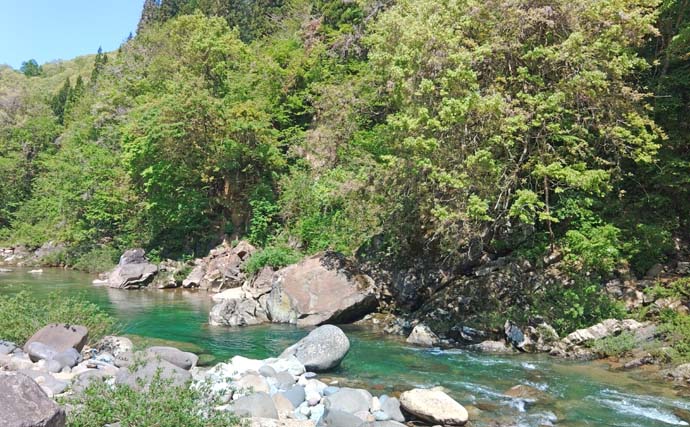 良型ヤマメ・アマゴ狙える渓流釣り場　石徹白川ポイントガイド【福井】