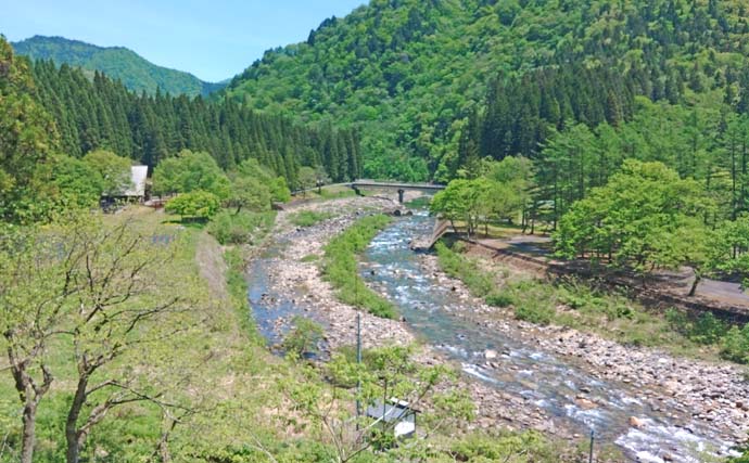 良型ヤマメ・アマゴ狙える渓流釣り場　石徹白川ポイントガイド【福井】