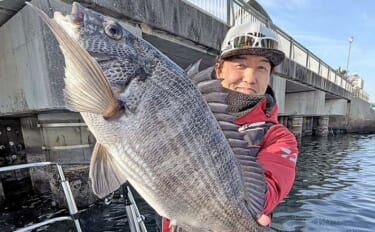 ボートからウキダンゴ釣りで51cm頭に良型クロダイ9匹！【愛知】温排水…