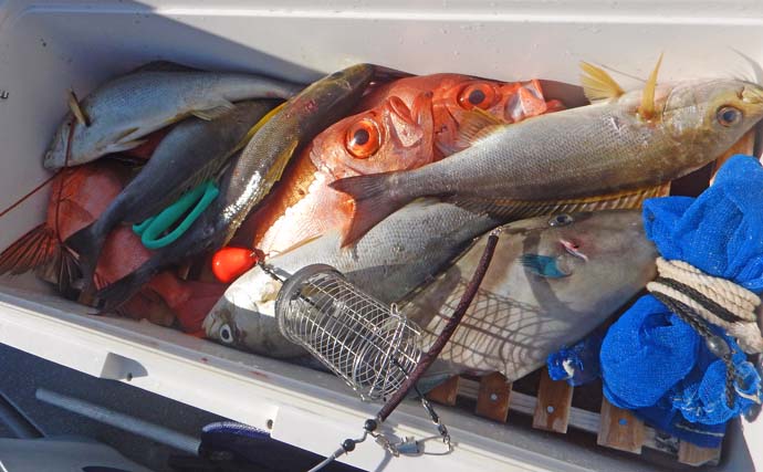 沖の五目釣りチカメキントキにアカイサキにイサキと多彩釣果【福岡】