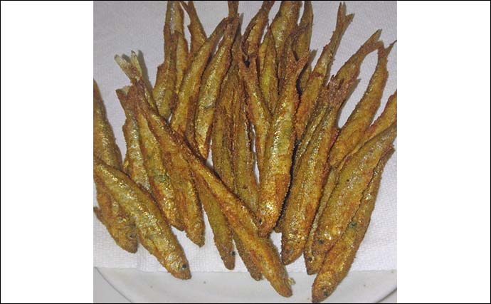 伊自良湖での桟橋ワカサギ釣りで良型中心にポツポツ【岐阜】朝マヅメにアタリ集中