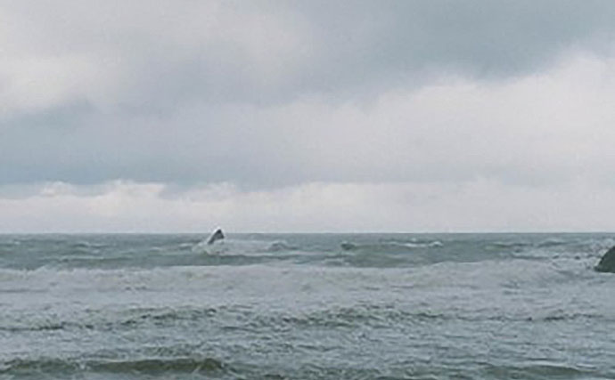 「釣りのために片道6時間半は当たり前？」 北海道在住アングラーの狂気的な運転事情