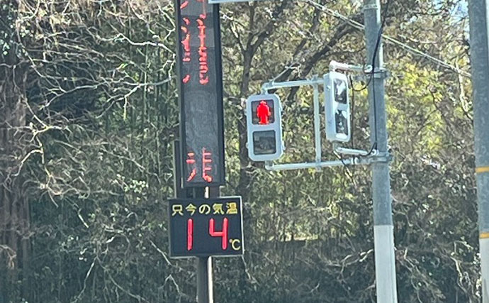 雪代の影響で低活性の魚はレンジが超シビア？ 『千早川マス釣り場』で22匹と苦戦