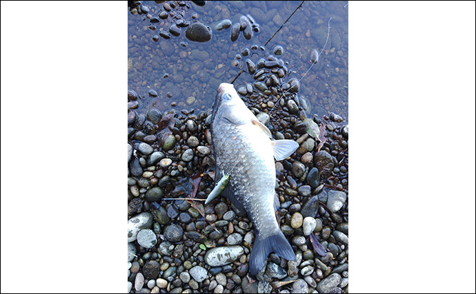 「57cmブラックバス出た！」 20年前の懐かしタックルでバスフィッシングに挑戦