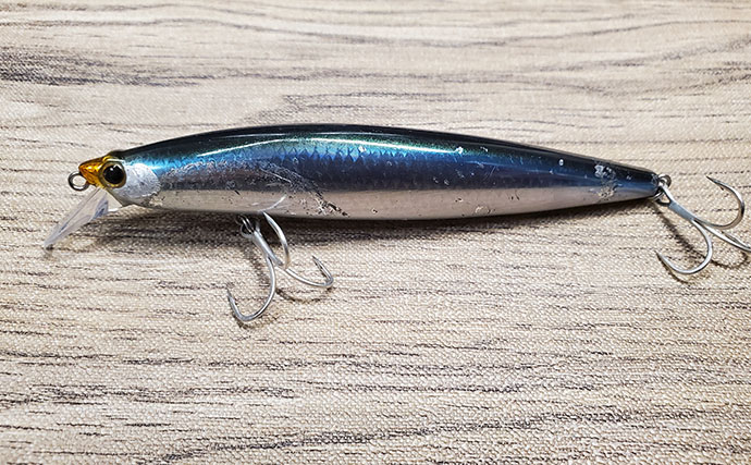 マイワシが大量に漂着した海岸で55cmシーバスをキャッチ【新潟】ストラクチャー狙いが的中