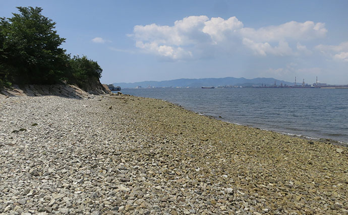 「早春のベイトは小型！」サーフの【マイクロベイトパターン】シーバスゲーム攻略術