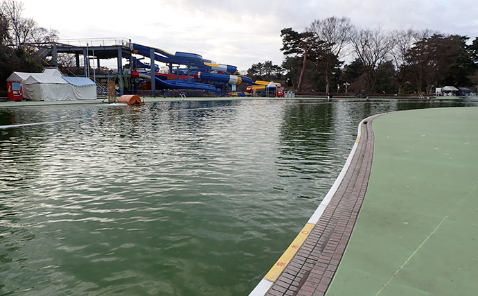 『多摩湖駅前FA』でのフライフィッシング釣行でニジマス「つ抜け」達成！