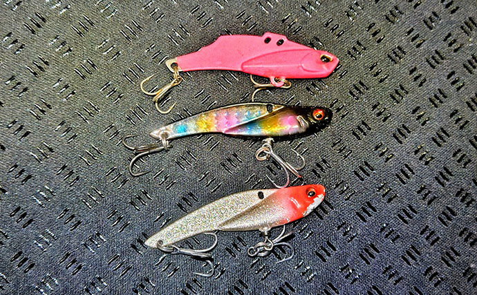 春の河川で75cmシーバスをキャッチ！【千葉】バイブレーション早巻きに反応