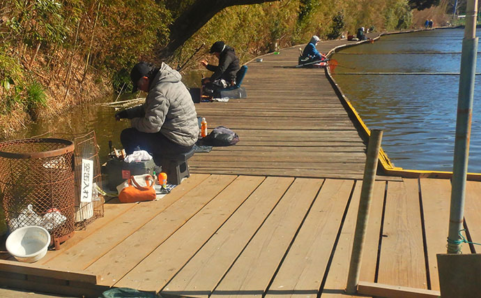 『道満ヘラ鮒釣場』のタナゴ釣りで本命307尾と大釣り！【埼玉】クチボソ混じりで連発