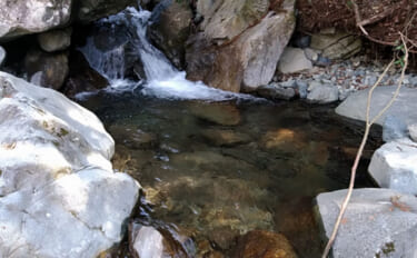 「竿抜けポイント」の発見が釣果の決め手！ 渓流エサ釣りで釣果アップ術