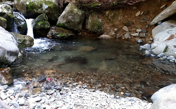 「竿抜けポイント」の発見が釣果の決め手！ 渓流エサ釣りで釣果アップ術