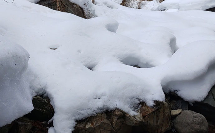 「待ちに待った渓流釣りが解禁！」 解禁直後の魚の動き方と攻略法を解説