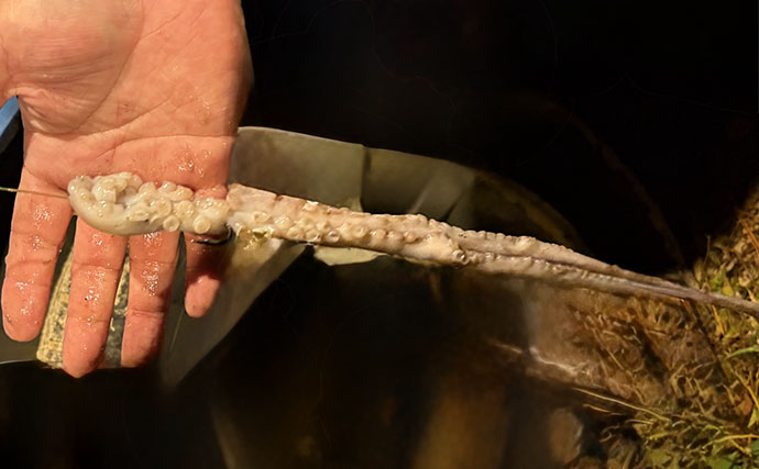 石垣島の打ち込み（ブッコミ）釣りが最高過ぎた！ 手ぶらでOKで釣魚調理＆三線サービスまで？