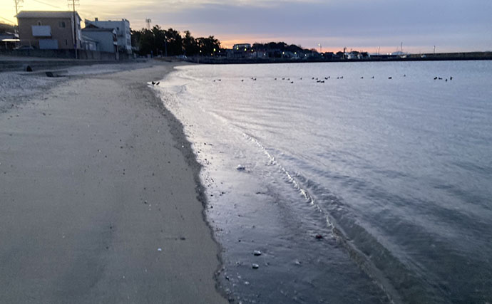 「自宅で魚を飼い始めたい！」 家族に理解してもらうための説明手順と方法とは？