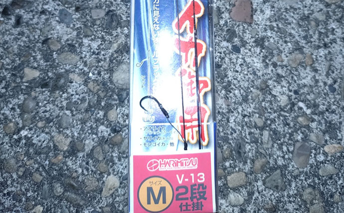 堤防アジングで釣ったアジを泳がせたらヤリイカが連発！【和歌山】