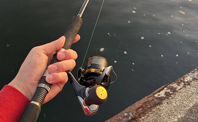 ライトゲームアングラーが実践する「風」対策 【ライン選択・リグ重量・キャスト角度】