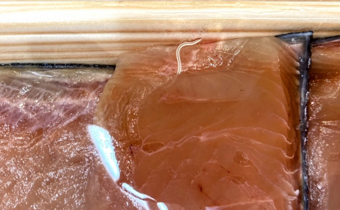 アニサキス中毒は「鮮度の問題」ではなかった　「P型」は安全で「S型」が危ない？