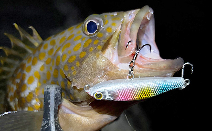 釣れない季節の釣り人の過ごし方　シーズンオフのストレスは回避しよう