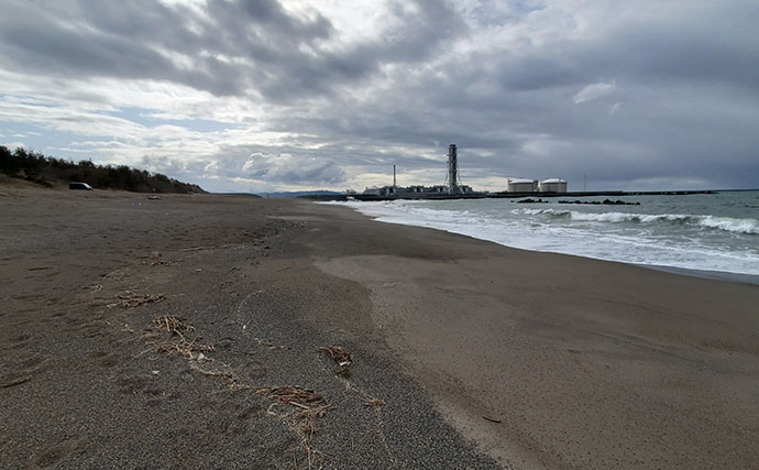 マイワシが大量に漂着した海岸で55cmシーバスをキャッチ【新潟】ストラクチャー狙いが的中