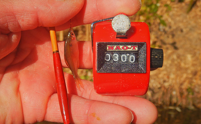 『道満ヘラ鮒釣場』のタナゴ釣りで本命307尾と大釣り！【埼玉】クチボソ混じりで連発