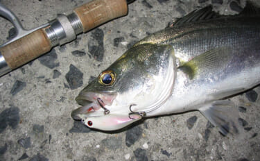 「早春のベイトは小型！」サーフの【マイクロベイトパターン】シーバスゲー…