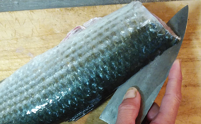 釣魚で作る「ご飯のおかず」レシピ：春ボラのステーキ　強火でこんがり焼こう