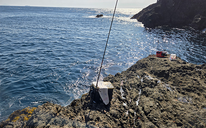 シーズン終盤の寒メジナ釣りで42cm尾長を捕獲成功！【静岡】細ハリス変更が的中