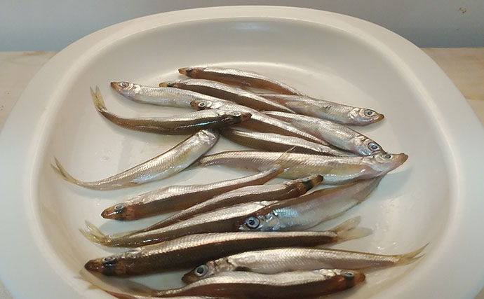 釣魚で作る「日本酒の肴」レシピ：ワカサギのみりん干し　濃い目の味付けが◎