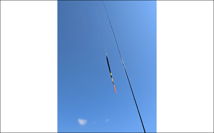 シーズン終盤の寒メジナ釣りで42cm尾長を捕獲成功！【静岡】細ハリス変更が的中