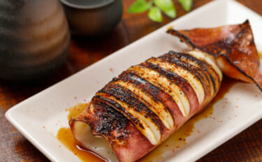 南米のイカ『アルゼンチンマツイカ』　漁の好不調が日本でニュースになるワ…