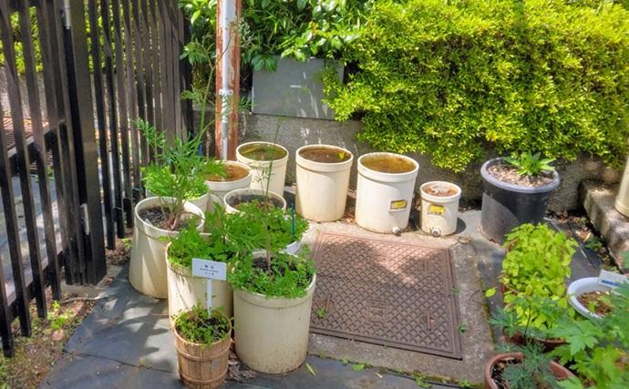 「野草採りのシーズン到来！」 毒草の勉強をして荒川河川敷でセリとクレソンを採取成功