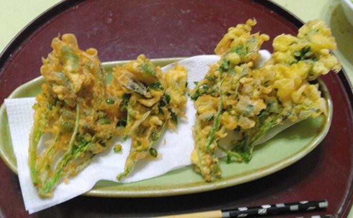 「野草採りのシーズン到来！」 毒草の勉強をして荒川河川敷でセリとクレソンを採取成功